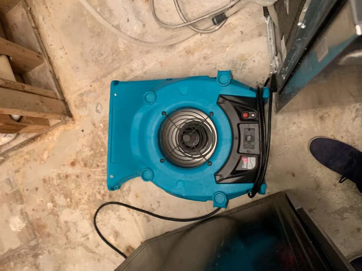 Air mover drying equipment for Mold Remediation & Removal in Lincoln